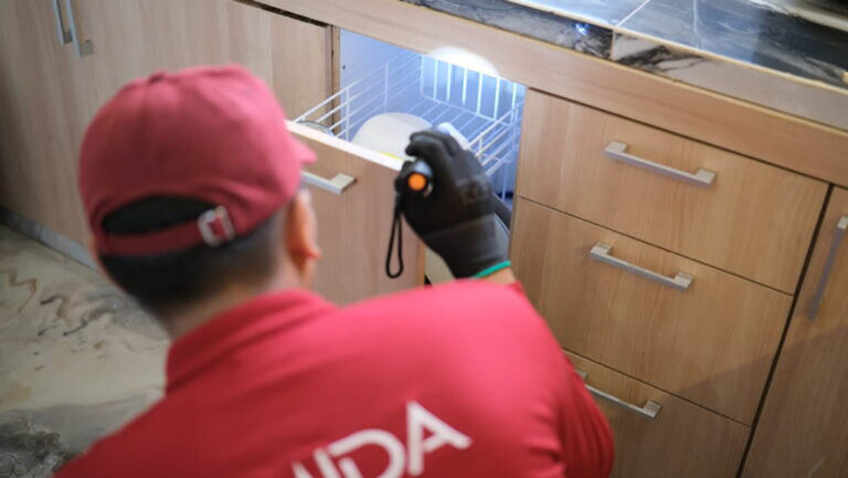 Pakar Anti Rayap Jakarta Ungkap Strategi Terbaik Melindungi Properti Anda!